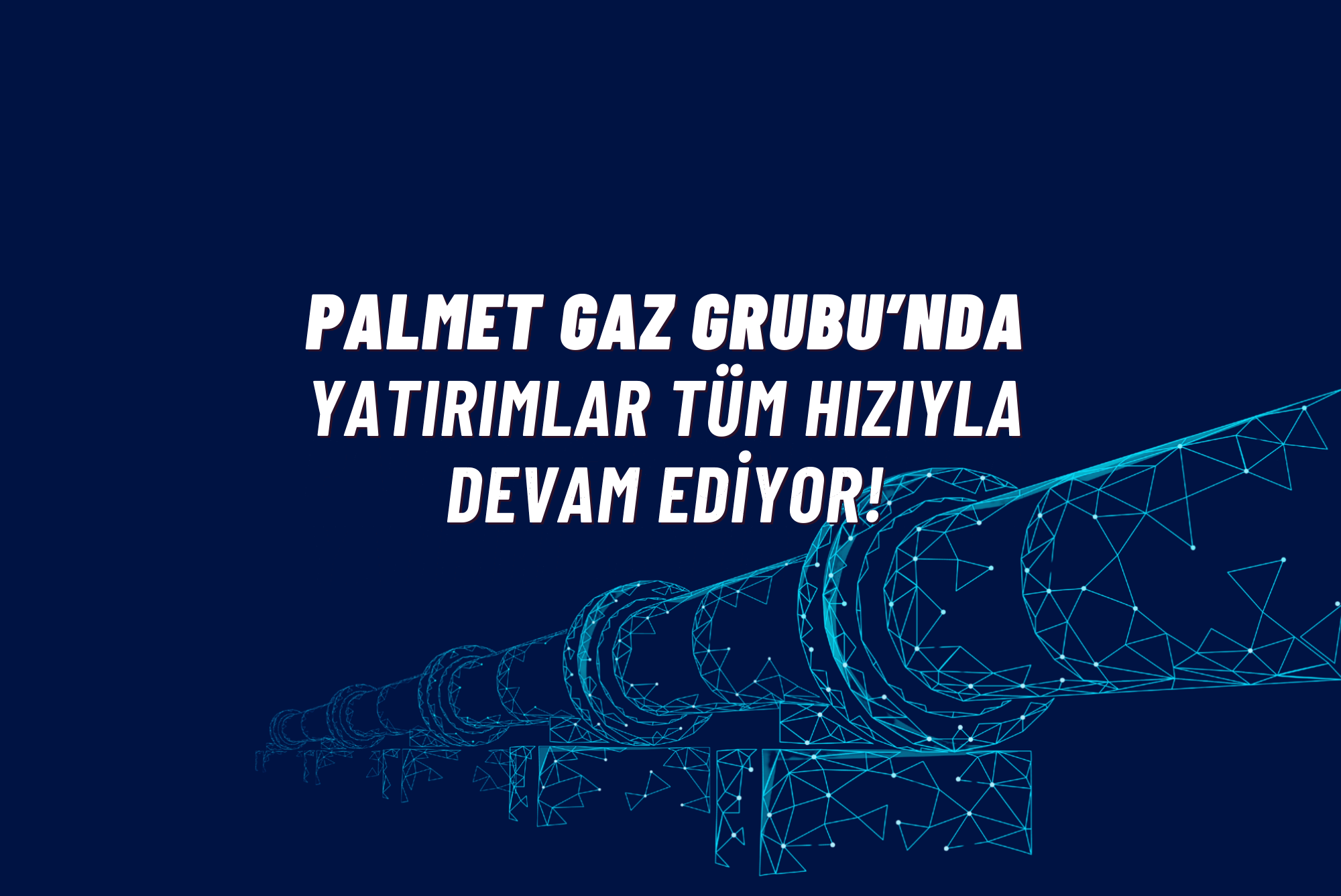 palmet-slider1-2000x1336px-1.png